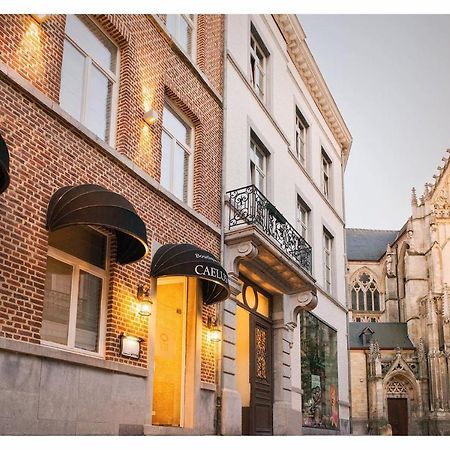 Boutique Hotel Caelus VII โตงเงอเริน ภายนอก รูปภาพ