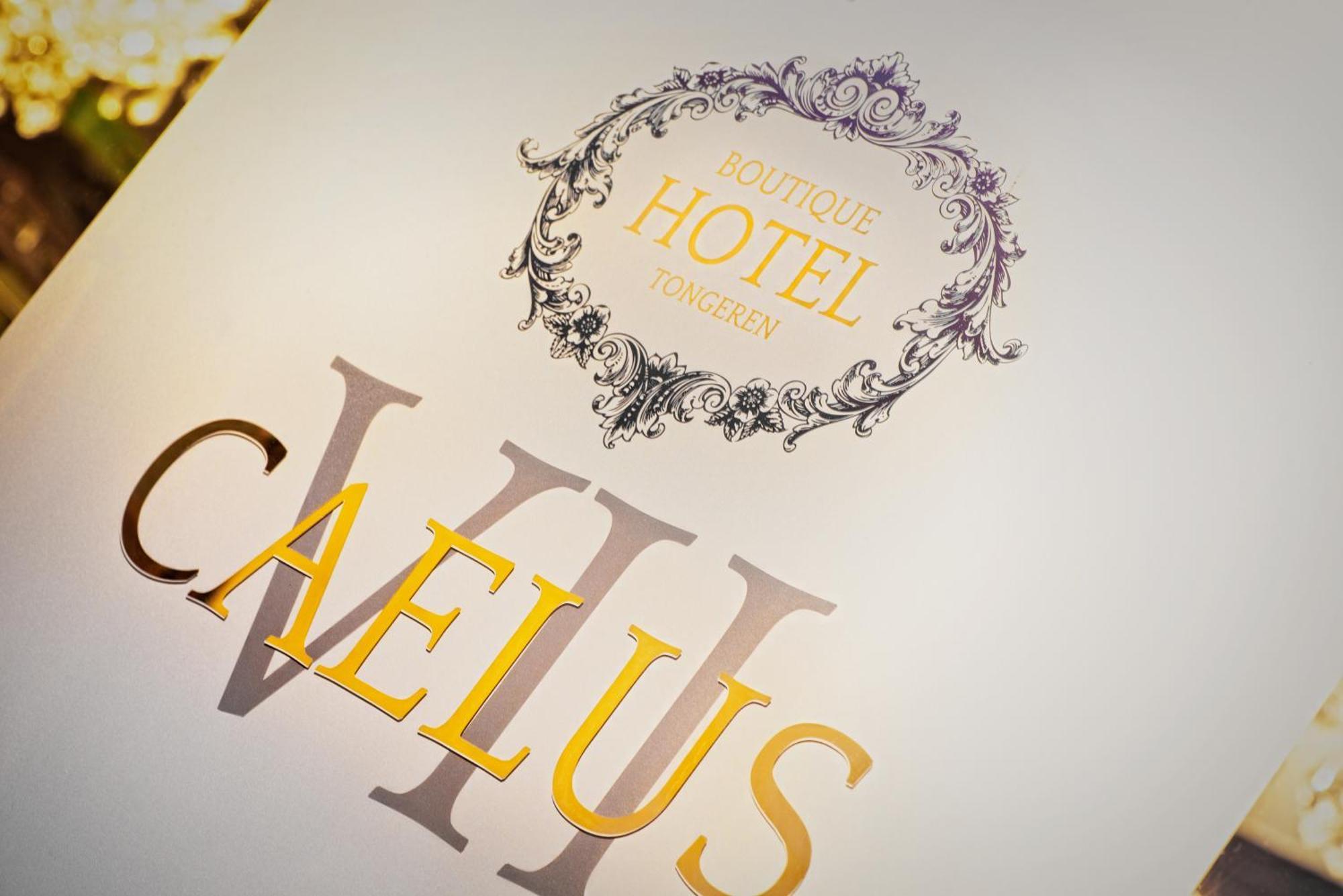 Boutique Hotel Caelus VII โตงเงอเริน ภายนอก รูปภาพ